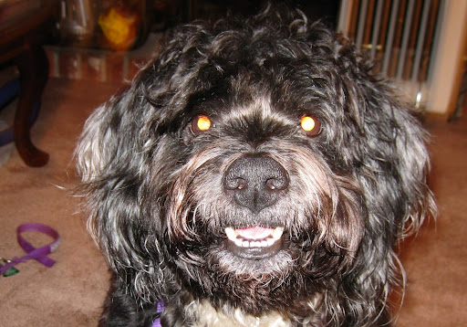 Janet Davidson Photo 47