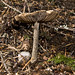 Patrick Colvin Photo 23