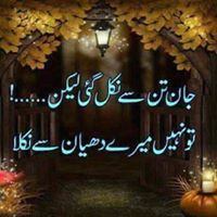 Aamir Shah Photo 12
