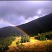 Norma Summers Photo 19