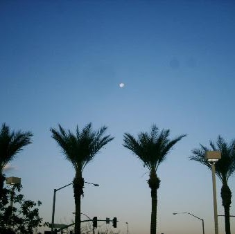 Randy Byrd Photo 27