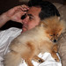 Steve Colby Photo 19