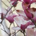 Kristin Bloom Photo 16