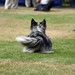 Richard Borders Photo 17