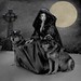 Shirley Wolf Photo 14