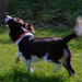 Wilma Foster Photo 18