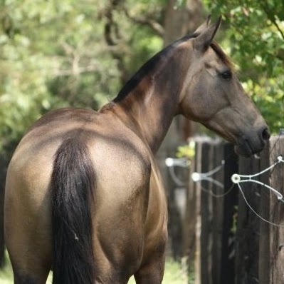 Cindy Meadows Photo 39