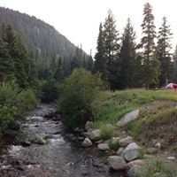 Kimberly Wales Photo 5