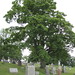 Rebecca Milligan Photo 16