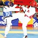 Nick Arce Photo 14