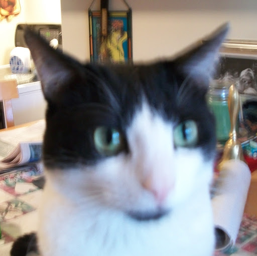 Rocky Rogers Photo 23