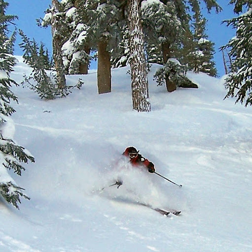 John Talbott Photo 30