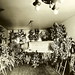 Dorothy Light Photo 17