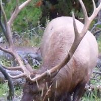 Julie Shipley Photo 8