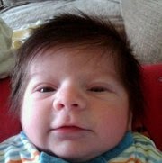 Elizabeth Mcdermott Photo 34