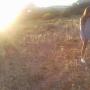 Alice Johnston Photo 21
