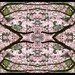 James Beene Photo 12