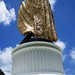 David Gould Photo 49