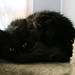 Tabitha Long Photo 34