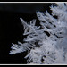 Crystal Vernon Photo 20
