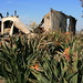 Bernardo Bernardo Photo 29