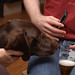 Greg Pointer Photo 10