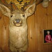 Ann Lockhart Photo 18