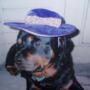 Sharon Kelly Photo 5