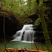Forrest Mize Photo 2