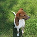 Jana Shepherd Photo 15
