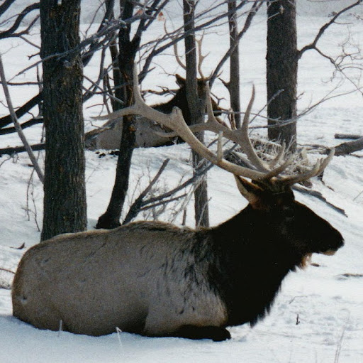 Jerry Guy Photo 25