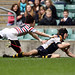 Tom Archer Photo 33