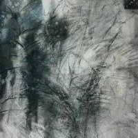 Shuhua Chen Photo 7
