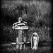 Mary Leger Photo 11