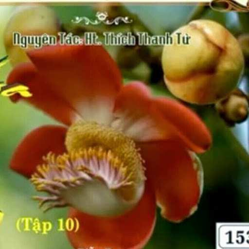 Nhut Ngo Photo 24