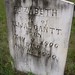 Elizabeth Gantt Photo 5
