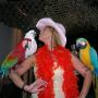 Robin Rice Photo 9