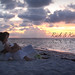 Kathleen Waters Photo 17