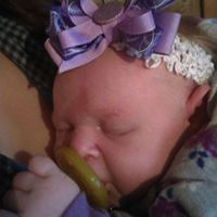 Teresa Dailey Photo 21