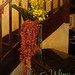 Robin Flores Photo 22