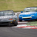 Jonathon Wright Photo 5