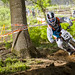 Josh Lowe Photo 29
