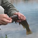 Ryan Fish Photo 29