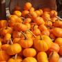 Jennifer Ketcham Photo 30