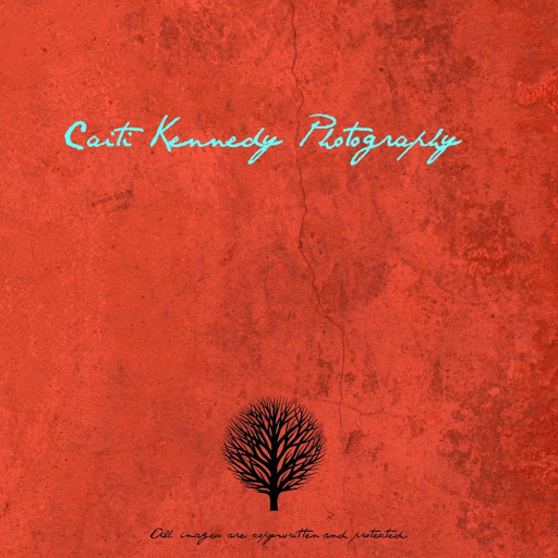 Barbara Kennedy Photo 13