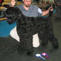 Jeffrey Vollmer Photo 13