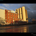 Ally Mills Photo 16