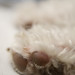 Lisa Casper Photo 15