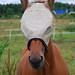James Bothwell Photo 15