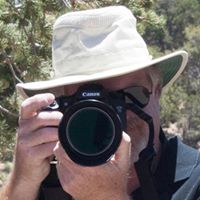 Mark Calvert Photo 12